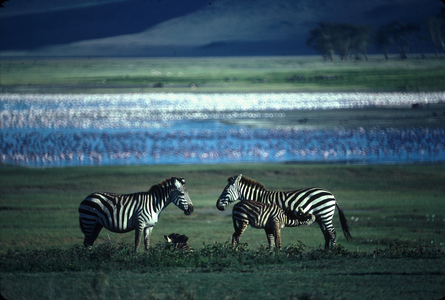 Ngorongoro Crater, Tanzania