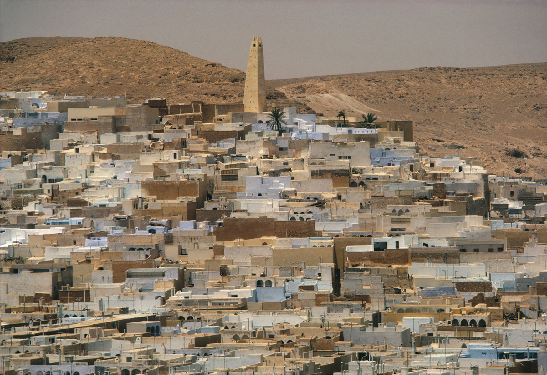 Guerrera, Algeria