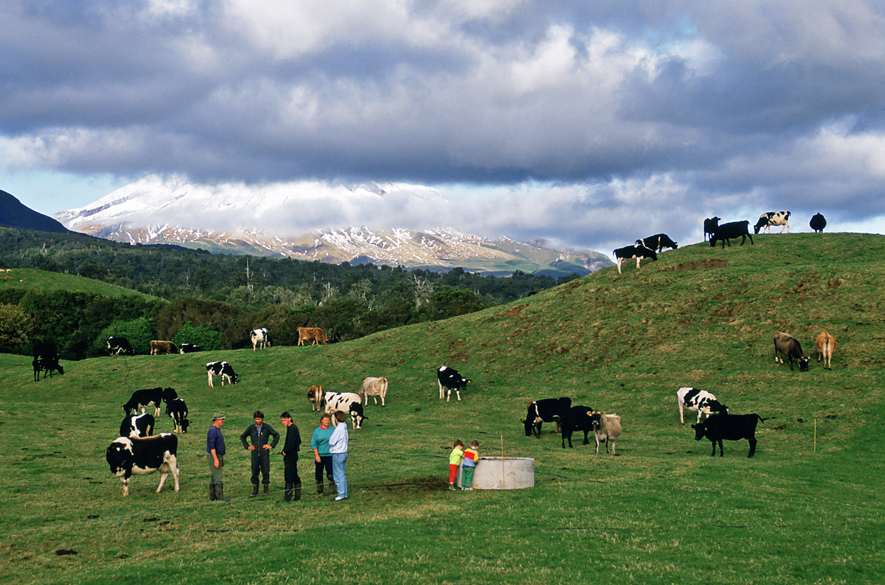 Farm, New Zealand